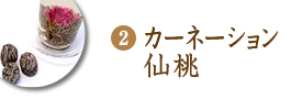 カーネーション仙桃